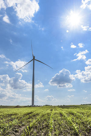 Offshore the windmill on field at sunny dayの写真素材