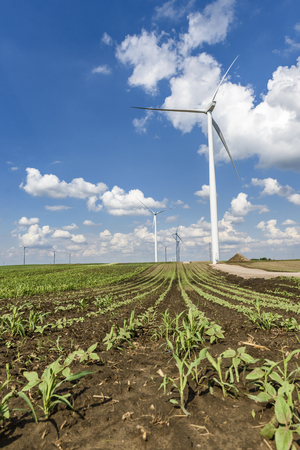 Offshore the windmill on the fieldの写真素材