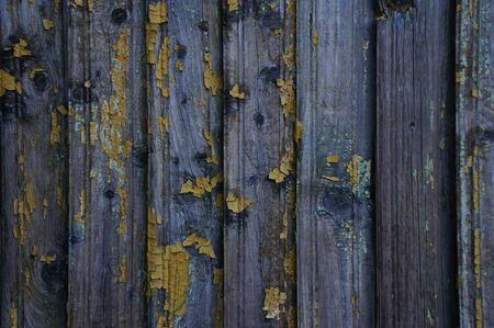 texture of an old wooden board, vintage surface for background and your textの写真素材