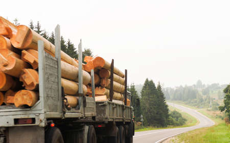 A huge powerful truck with two platforms, carrying a bunch of large logs designed to build a house...