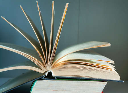 The concept of education and wisdom - an open book in the sunlight