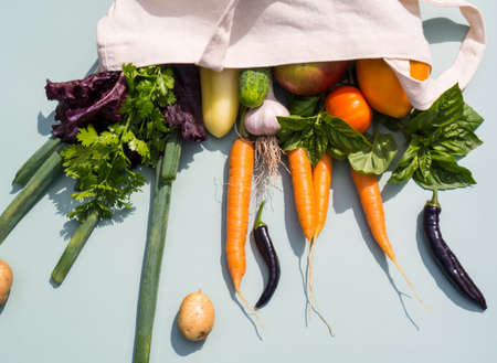 Eco bag with groceries on a colored background, organic food scattering from the bag for a vegetarianの写真素材