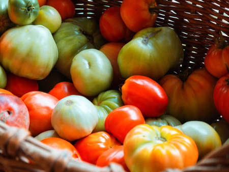 Fresh tomatoes of different colors in a basketの写真素材