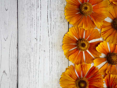 Yellow floral pattern on a white wooden table. View from above. copy space, background for postcardsの写真素材