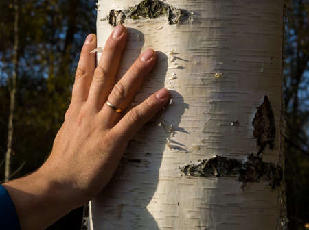 a man hugs a tree with love, receives energy from a treeの写真素材