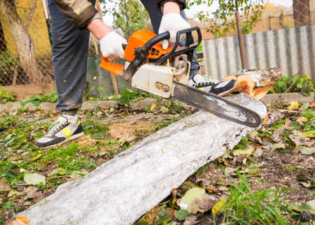 A man cuts a log with a chainsaw in the garden.の写真素材