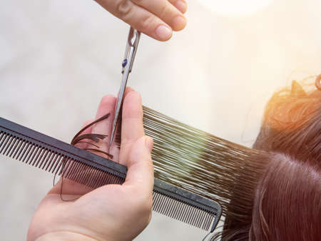 Get rid of split ends. cutting a client's hair with scissors in a beauty salon.の写真素材