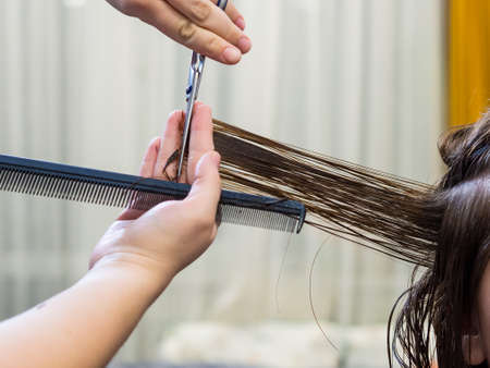 Get rid of split ends. cutting a client's hair with scissors in a beauty salon.