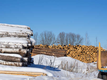 Giant pile of logs in a logging camp at a street sawmill, selling timberの写真素材