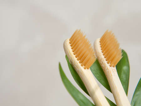 Natural bamboo toothbrushes. dental care, plastic free concept. Copy space for textの写真素材