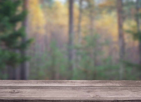 Empty wooden table with bokeh forest view for catering or food, product showcase mockup templateの写真素材