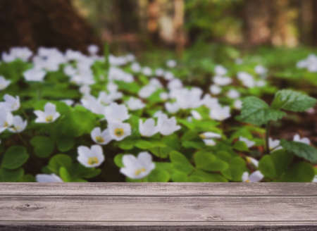 Empty wooden table with wild plant flowers bokeh view for catering or food showcase mockup templateの写真素材