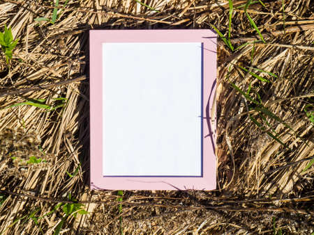 empty pink frame on real nature background, creative idea with empty frame for your ideasの写真素材