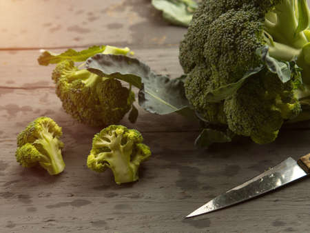 cuts broccoli for freezing in bags, harvest storageの写真素材