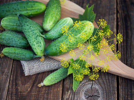 Cucumber on dark wood table texture background. Cucumbers for salads or canning. summer vegetables. Organic farming in the village.の写真素材