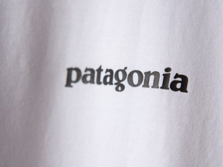 moscow. russia. 08.06.2022 .Patagonia brand logo and fashion text sign