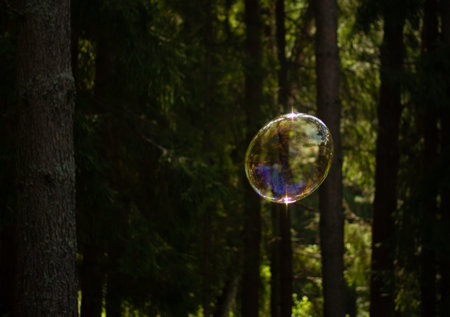 flying soap bubble close upの写真素材