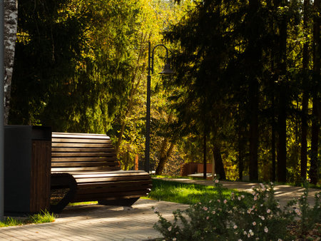 modern wooden city park on the river bank surrounded by forestの写真素材