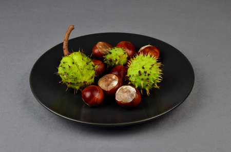 Green and brown chestnuts lie on a gray plateの写真素材