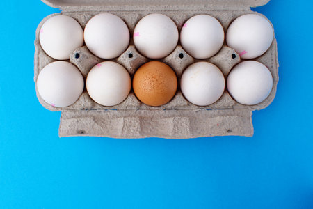 A package of white chicken eggs and one brown egg on a blue background. Preparing for Easterの写真素材