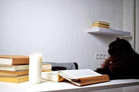 Black cat lying on a white table next to the books. The cat is reading a book, next to a candle.の写真素材