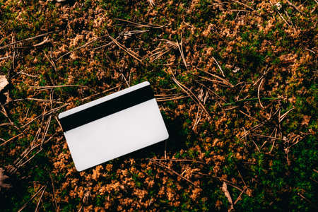 White bank card on moss with withered leaves and pine needles. The concept of green economy.の写真素材
