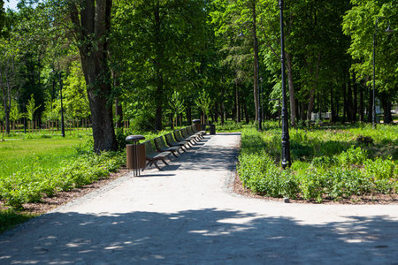 Alley with brown wooden benches in a park in Kemeri, Latvia.