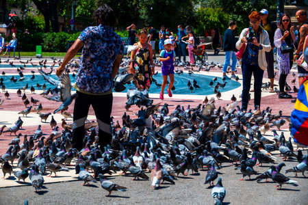 Spain, Barcelona - May 26 2022: Cluster of gray doves in Plaza Catalunya.のeditorial素材