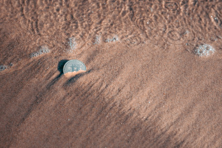 A bitcoin coin lies in the sand on the shore and is washed by the tide. The concept of payment for...