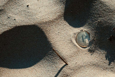 A bitcoin coin lies in the sand on the beach. The concept of payment for nature. copyspace.の写真素材
