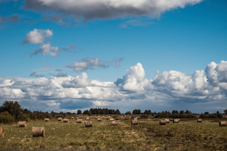 Landscape Of The Countryside With Field With Haystacks And Blue Sky With Clouds.