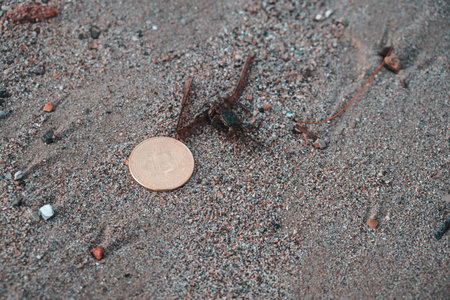 Bitcoin Coin Lies In Sand On Beach Moraitika, Corfu, Greece. The Concept Of Payment For Nature And Unlimited Possibilities. Copy Spaceの写真素材
