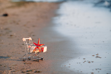 Shopping Basket With Shells And Starfish Stands On Sand In Sun. Summer Sale Concept. Like Summer Breeze, Summer Sales Bring Lightness And Freshness To World Of Shopping.の写真素材