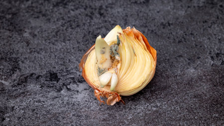 Close-up of half an onion with mold on the table. Spoiled onion.の写真素材