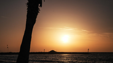 Golden hour on the Mediterranean coast, with the silhouette of a pier in the distance and the silhouette of a palm tree in the foreground.