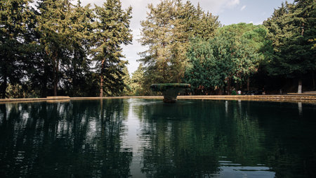 In the midst of a serene pond lies a sizable fountain covered in moss, while the tranquil water...