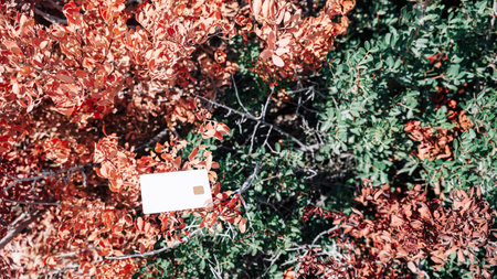 The tree is adorned with red and green leaves and a white tag