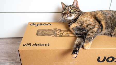 Jurmala, Latvia 07.07.2024: A grey tabby cat lies on the box from a Dyson V15 Detect absolute upright hoover.のeditorial素材