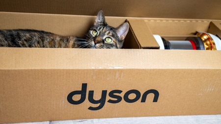 Jurmala, Latvia 07.07.2024: In the box from the Dyson V15 Detect absolute upright hoover sits a grey tabby cat.のeditorial素材