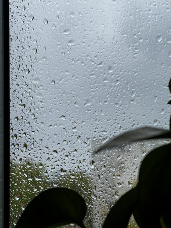 Raindrops on glass with greenery in the foreground during a cloudy day in an urban setting