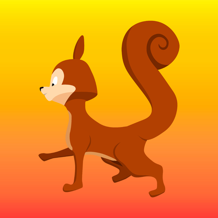Vector orange squirrel on orange backgroundのイラスト素材