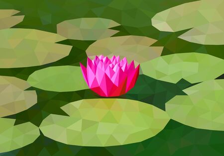 Low poly lily on the pondのイラスト素材