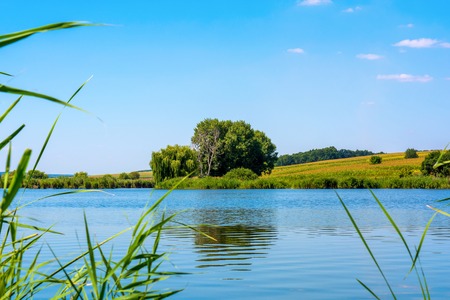 Photo of nature around beautiful blue lake at summerの写真素材