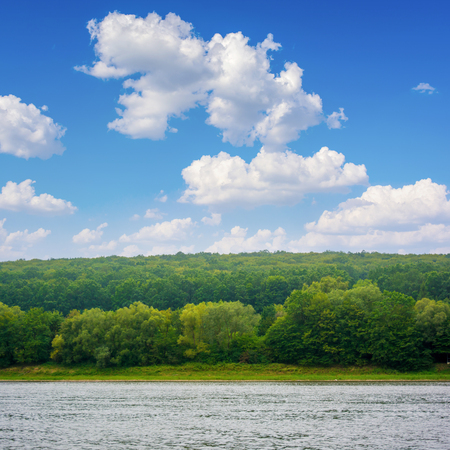 Photo of big beautiful river, view from beachの写真素材
