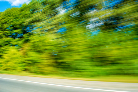 Photo of blurred green plants, beautiful motion background
