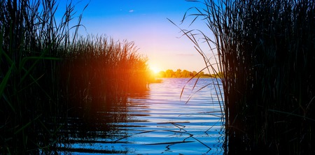 Photo of nature around beautiful blue lake at summer on sunseet, fishing placeの写真素材