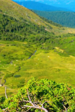 Photo of beauriful green meadows and hills at summer day in Carpathian mountainsの写真素材
