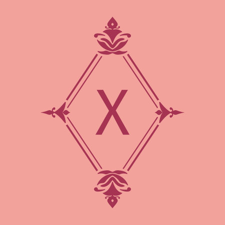 letter X classic beauty vintage initial vector logo frameのイラスト素材