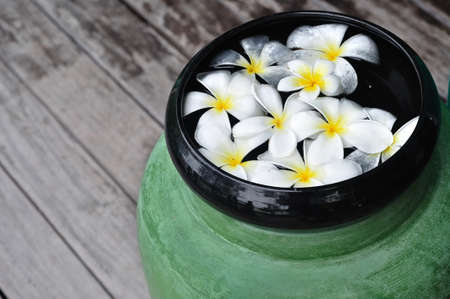 Plumeria flower in jar for spa decorationの写真素材