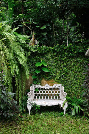 White metal chair in natural gardenの写真素材